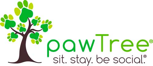 Asheville pawTree logo
