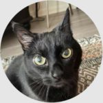 asheville pet care testimonial from esmeralda