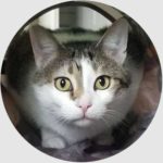 asheville pet care testimonial from larry
