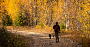 dog owner walking his dog on a trail in Asheville North Carolina
