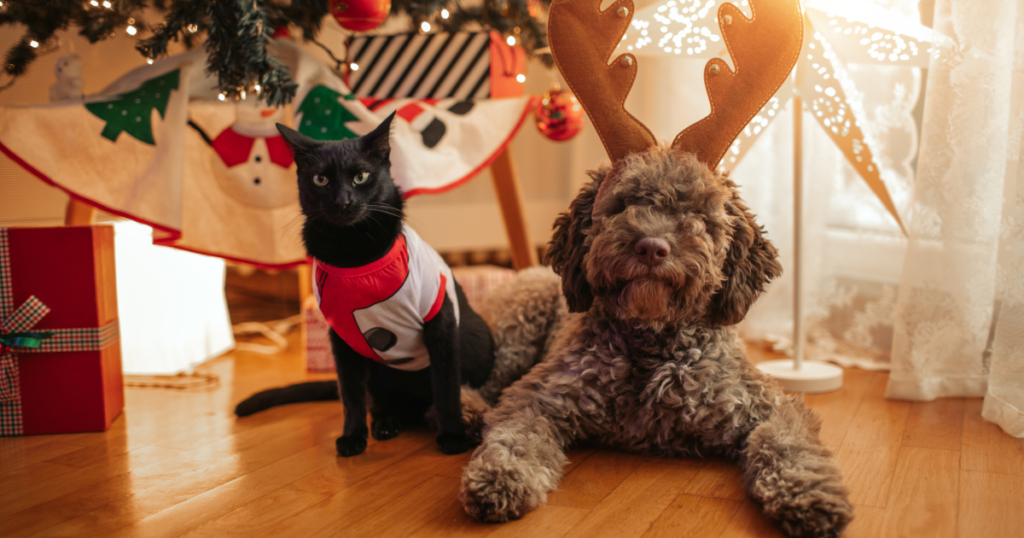 dog and cat under the christmas tree
