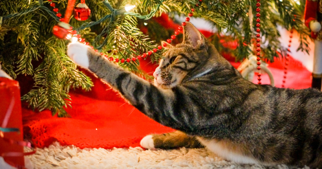 cat playing with christmas tree decorations